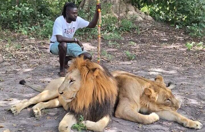 Fathala Reserve & Lion Walk