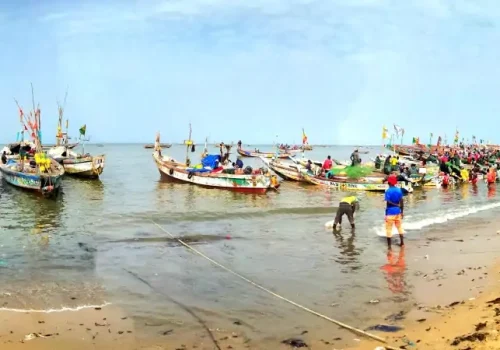 Senegal Leisure Experience