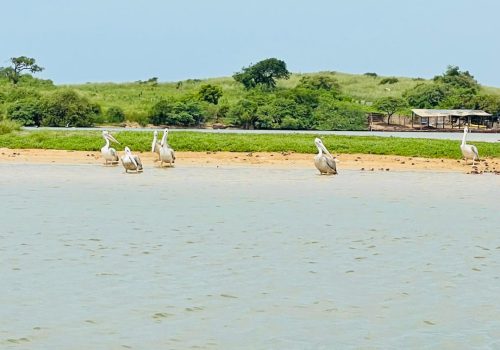 Somone Lagoon excursion