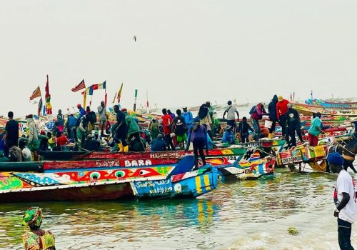 Excursion au Depart RIU BAOBAB SALY (5)